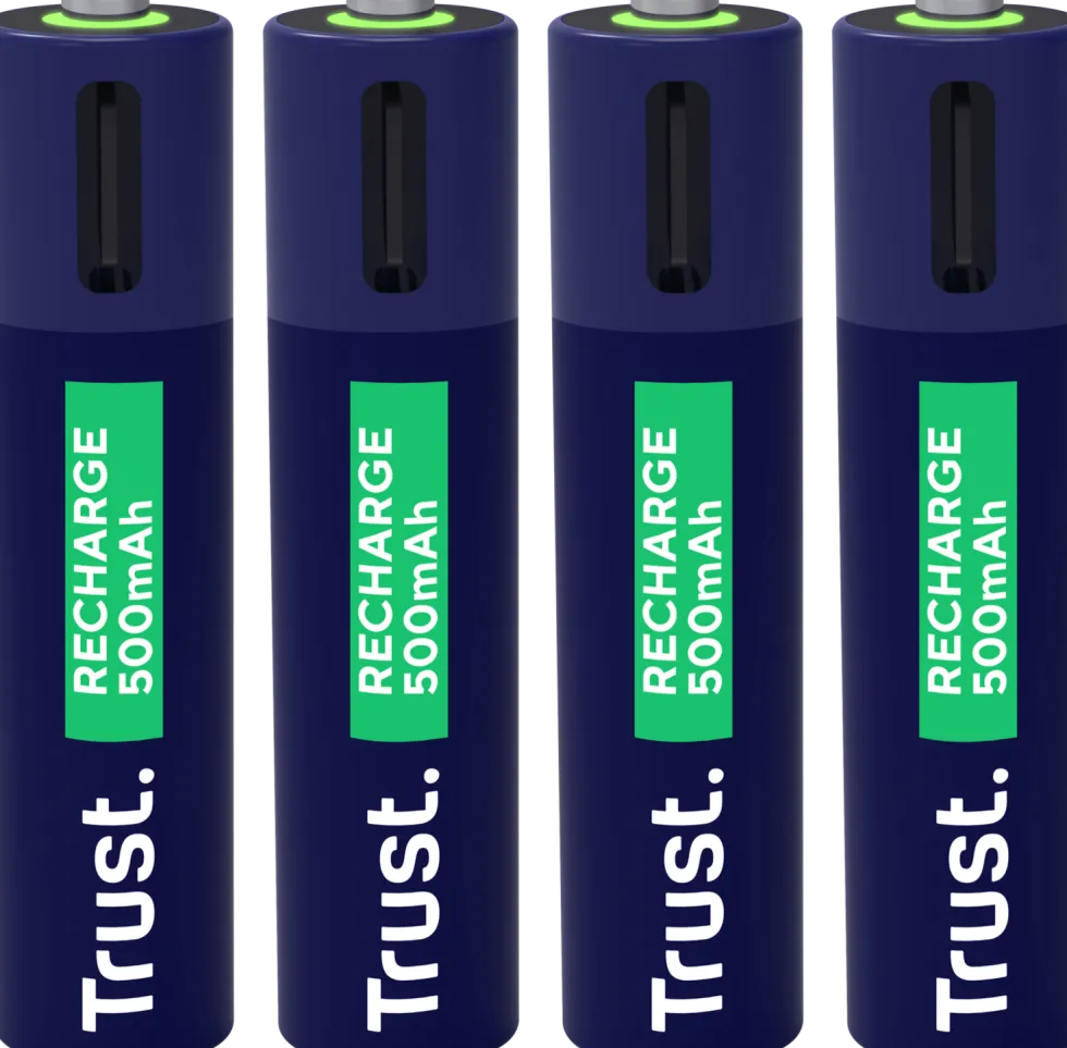 Batteri Laddbar TRUST AAA USB-C 4/fp