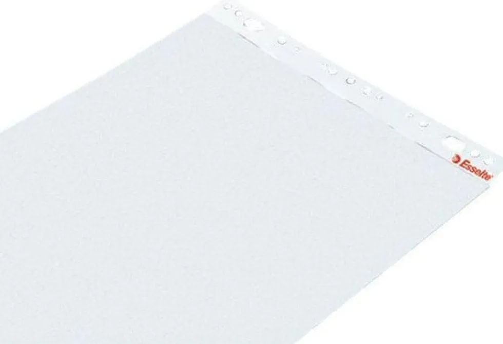 Blädderblock ESSELTE Olinjerat, 60x84cm, 5st/fp