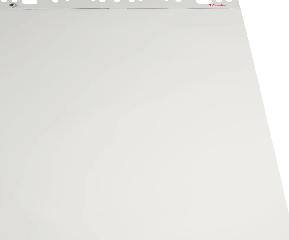Blädderblock ESSELTE Olinjerat, 60x84cm, 5st/fp
