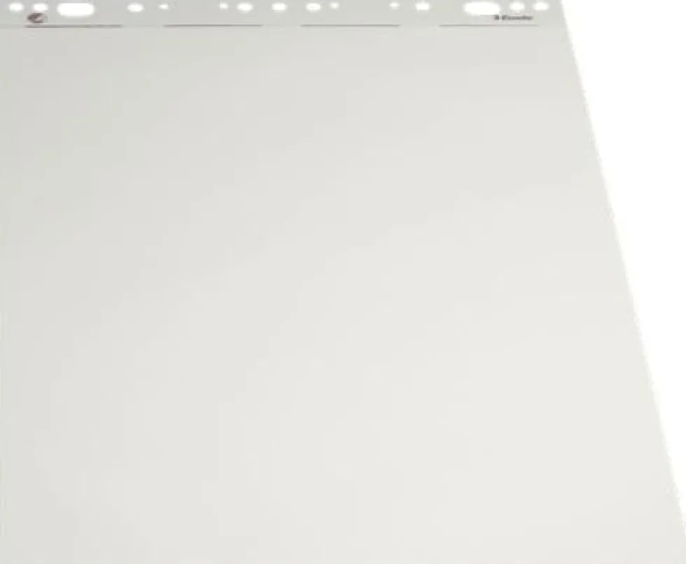 Blädderblock ESSELTE Olinjerat, 60x84cm, 5st/fp