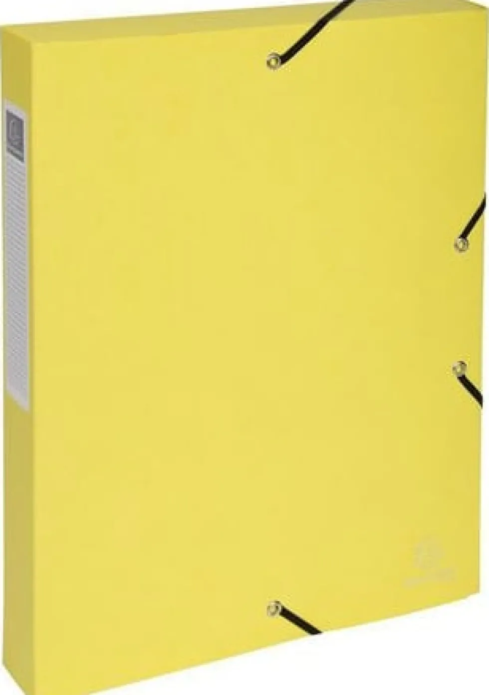Boxmapp EXACOMPTA 40mm pastel 8/fp