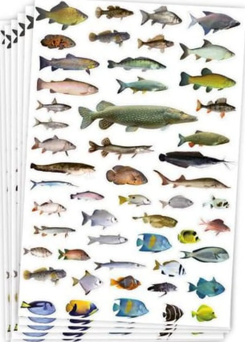 Djurstickers 300/fp