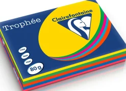 Kopieringspapper Färgat Intensive 5 färger A4 80g, 500/FP