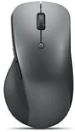 Lenovo Professional - Mus - ergonomisk - optisk blå - 6 knappar