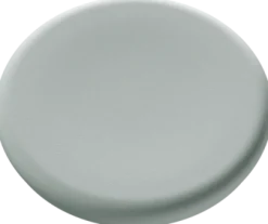 Magnet 30mm glastavla sage 5fp