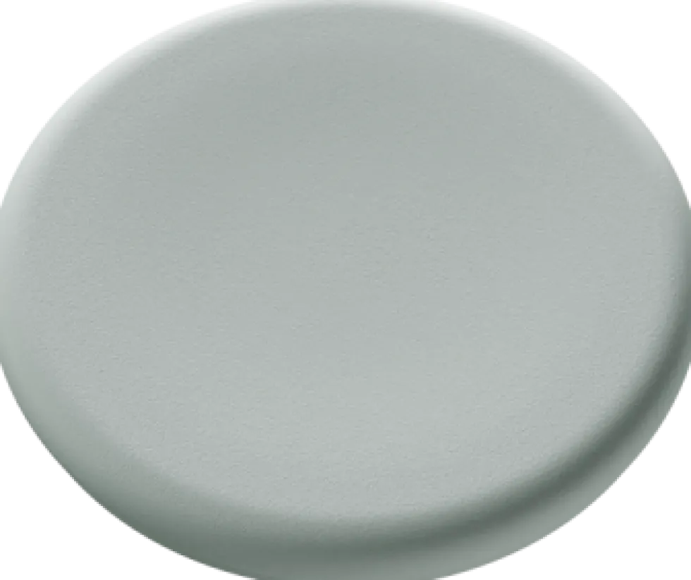 Magnet 30mm glastavla sage 5fp