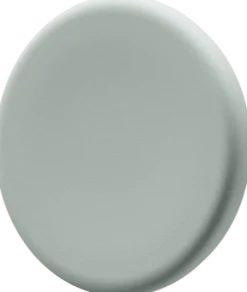 Magnet 30mm glastavla sage 5fp