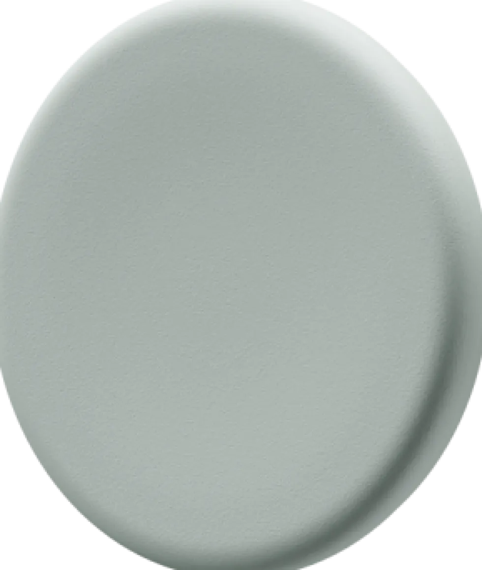 Magnet 30mm glastavla sage 5fp