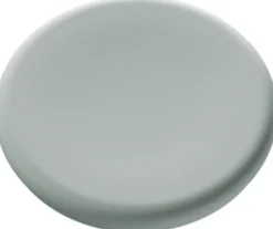 Magnet 30mm glastavla sage 5fp