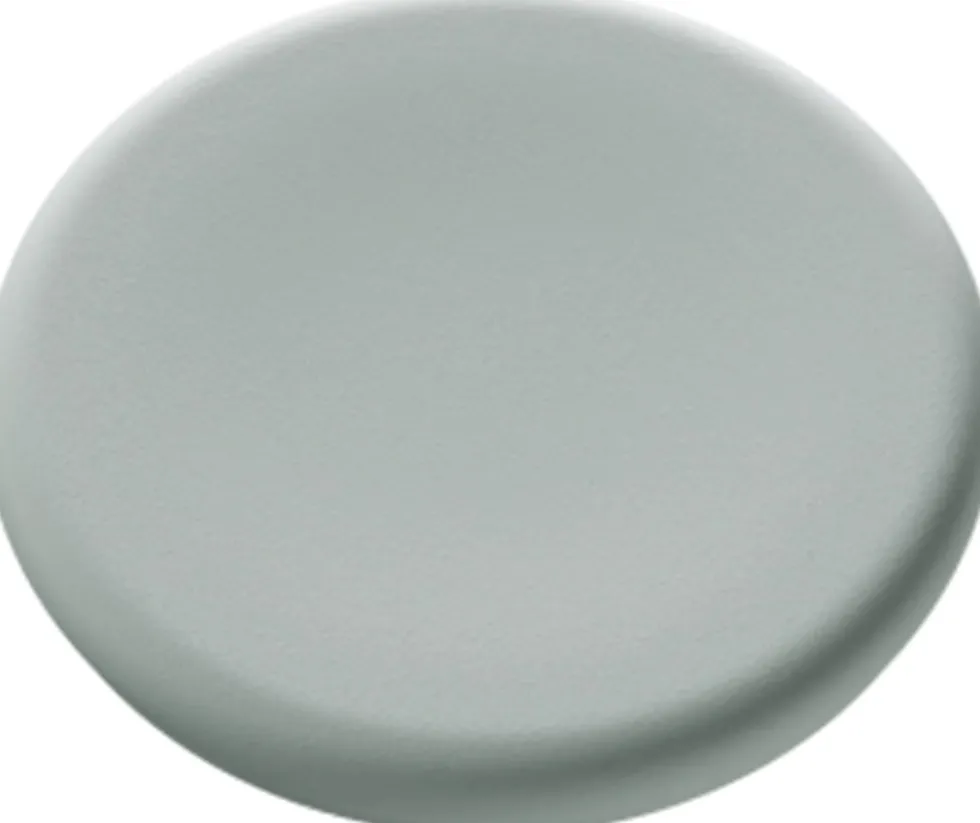 Magnet 30mm glastavla sage 5fp