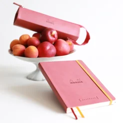 Rhodiarama tray pencase Tangerine