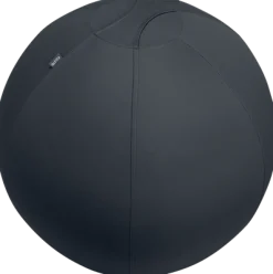 Sitting Ball Ergo 55cm anti-roll-away dark grey