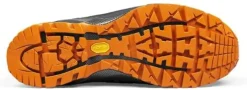 Skyddskänga Phoenix GTX S3 ESD 48