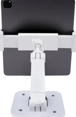 StarTech.com Adjustable Tablet Stand for Desk, Desk/Wall