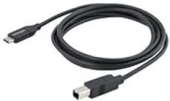 StarTech 2m 6ft USB C to USB B Cable - USB 2.0 - USB Type C