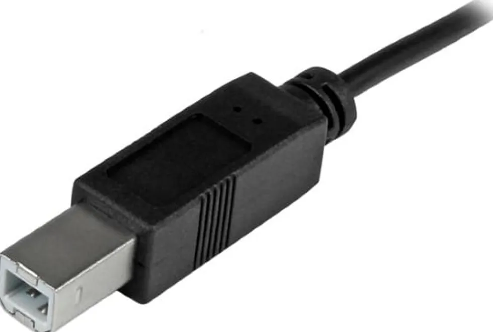 StarTech 2m 6ft USB C to USB B Cable - USB 2.0 - USB Type C