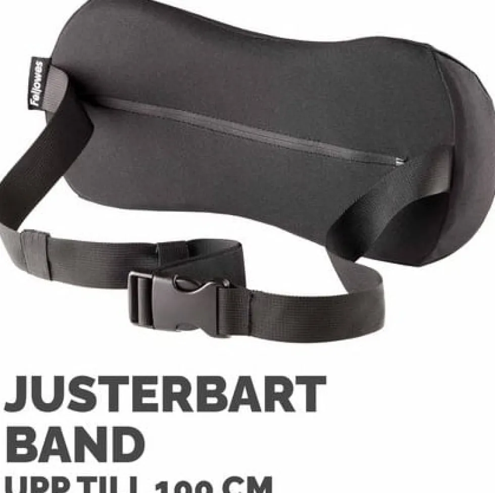 Svankstöd FELLOWES Breyta Lumbar