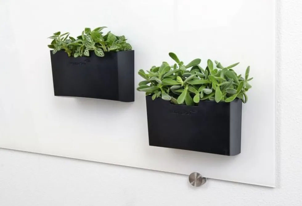 Tillbehörsbox glastavla svart