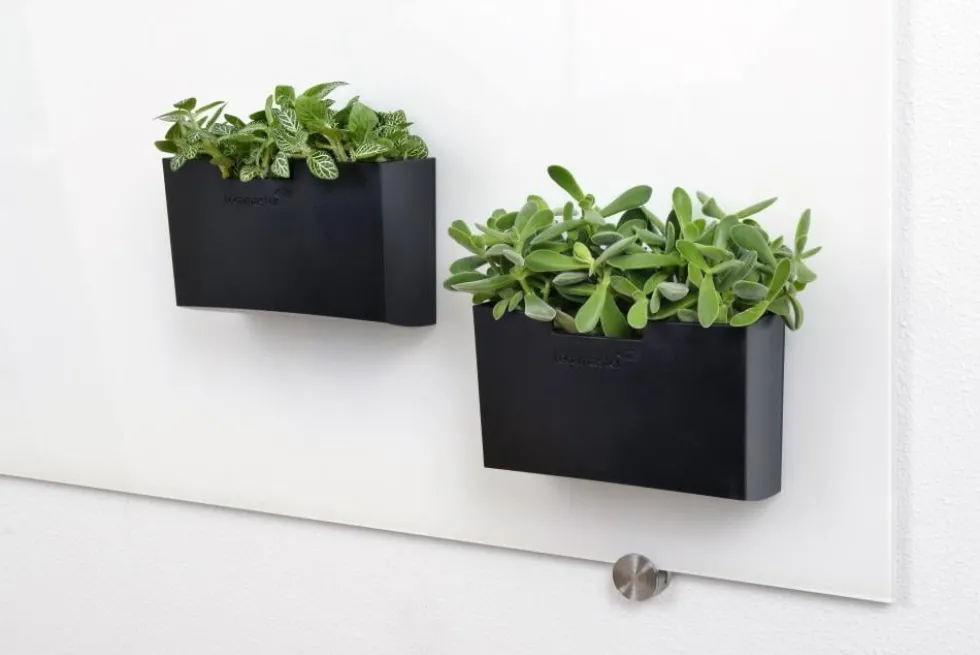 Tillbehörsbox glastavla svart