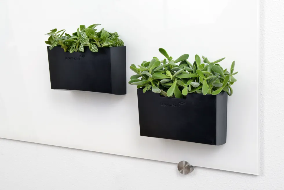 Tillbehörsbox glastavla svart