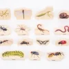 Träfigurer insekter 15/fp