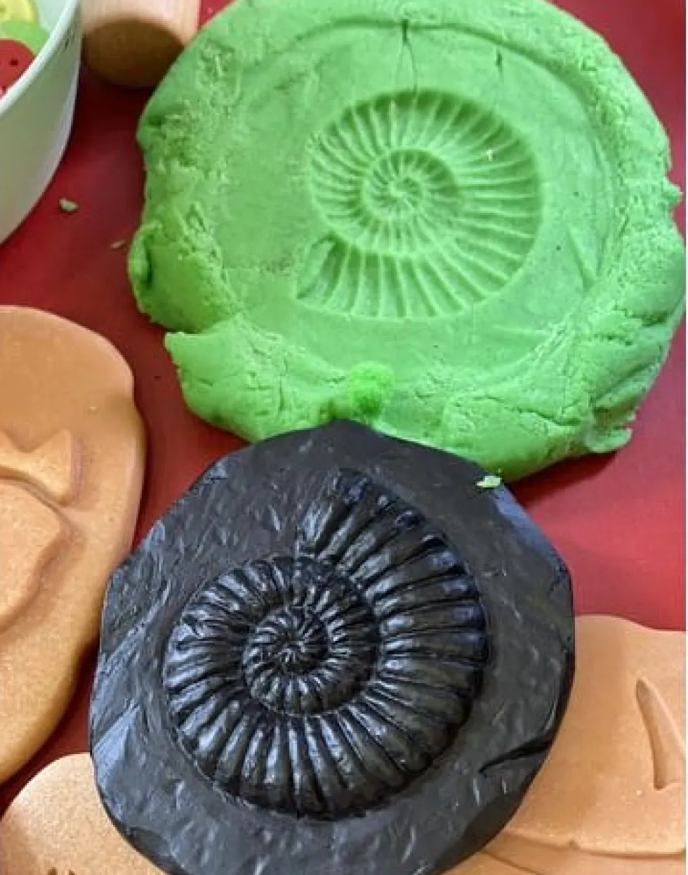 Undersök Fossilier av sten 8/fp